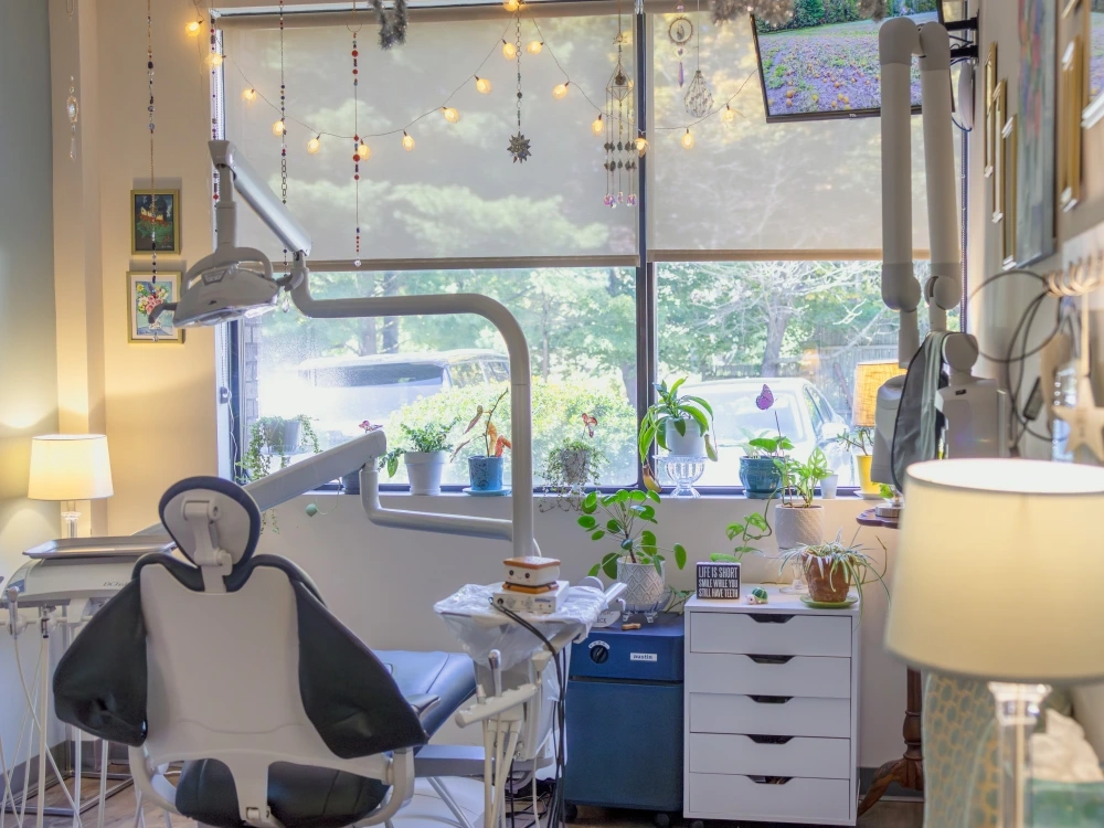 monroe-dental-arts-treatment-room-window-view